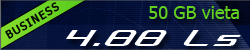 hosting-izvietosana-business.gif
